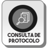 Consulta Protocolo